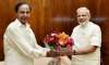 Reddy alleged that 