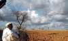 Odisha receives 31.5 per cent deficit rain in