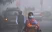 Food that helps build resistance against air pollution