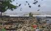 Beach after cyclone Tauktae brushed the city
