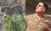 Akshay Kumar's wish gets fulfilled! Actor shares video of a tiger he spotted at Ranthambore National