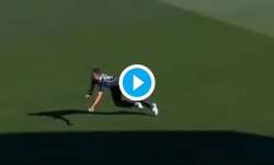 trent boult, trent boult catch, new zealand vs bangladesh, nz vs ban, nz vs ban 2021