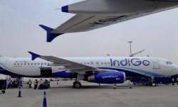 indigo, kotak