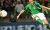 n. ireland recalls healy for euro 2012 qualifier