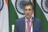 Addressing the media, MEA spokesperson Raveesh Kumar said