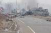 Immediately end 'support' and 'safe haven' to all terror