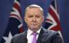Anthony Albanese, a veteran politician, was elected