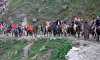 50K complete 'darshan' at Amarnath, as 5K more set out  