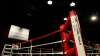 The boxers are set to resume their training on Monday after
