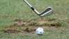 The Tour is also willing to look at additional Pro-Ams as