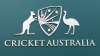 Coronavirus impact: Cricket Australia reduce size of national umpire panel