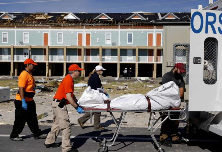 Rescue teams were using sniffer dogs in Mexico Beach on