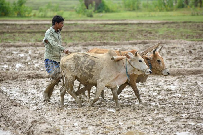 Representative News Image